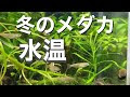 【ベストコレクション】 メダカ 水温 210749-メダカ 水温 適温