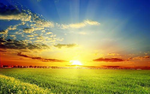 Nature Spring Season Fresh New Hd Wallpaper Wallpapers Nature