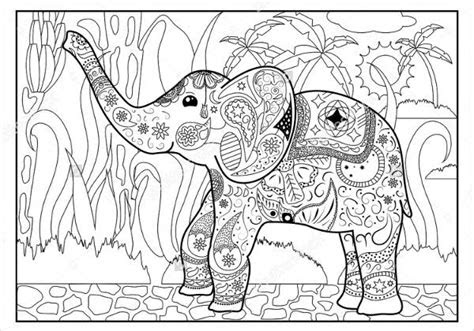  8 jungle coloring pages pdf png