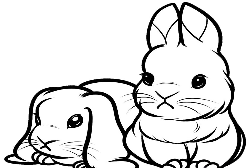 Download Cute bunny coloring pages to download and print for free