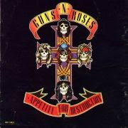Appetite for Destruction 