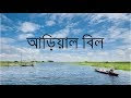 Arial Beel - the abundance of nature, Munshiganj,Bangladesh | আড়িয়াল বিল,মুন্সিগঞ্জ | বাংলাদেশ
