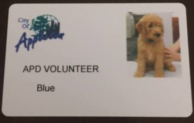 Appleton Police Department adds a golden doodle puppy to ...