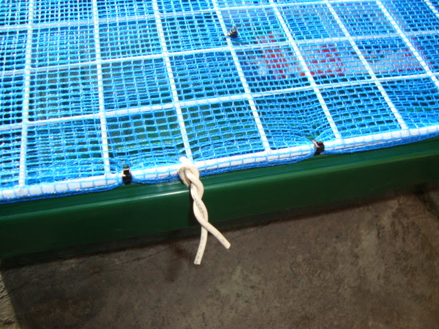 金魚飼育の真髄 金魚飼育完全マニュアル 金魚 伝心伝承 新規増設プラ舟 外敵対策の 簡易蓋作り