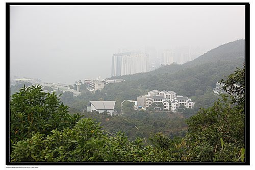IMG_4145 image