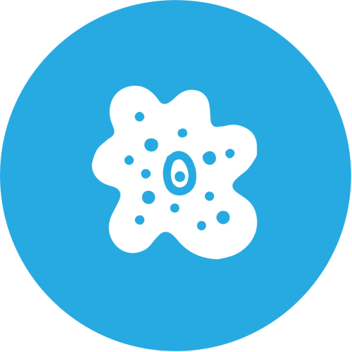 グルコサミン350 60滴 回し者 骨組織 蝶つがい 添え サプリ 銭が甚い 老犬 小型犬 大型犬 中型話頭 柴犬 チワワ ヨークシャテリア ダックスフンド Atkisson Com