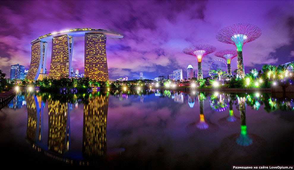 Gardens by the Bay: футуристические прибрежные сады в Сигнапуре