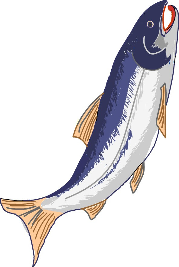 魚 イラスト 無料 ｇｉｆ画像