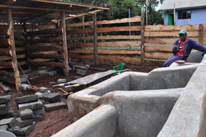 Cow Shed Designs