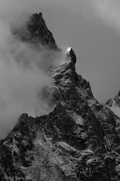 The Beacon