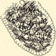 LE-1