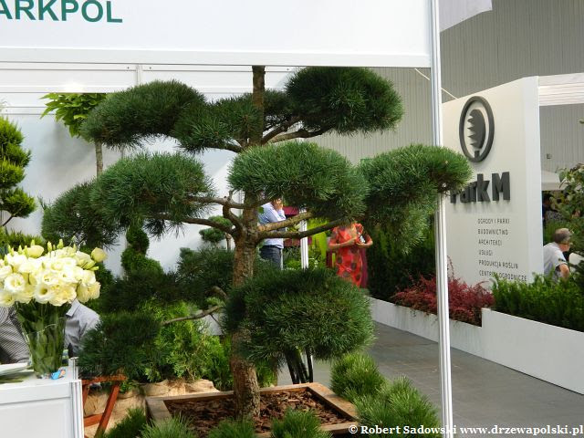 Wystawa Zieleń to Życie edycja 2013