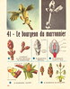 delagravchoses41