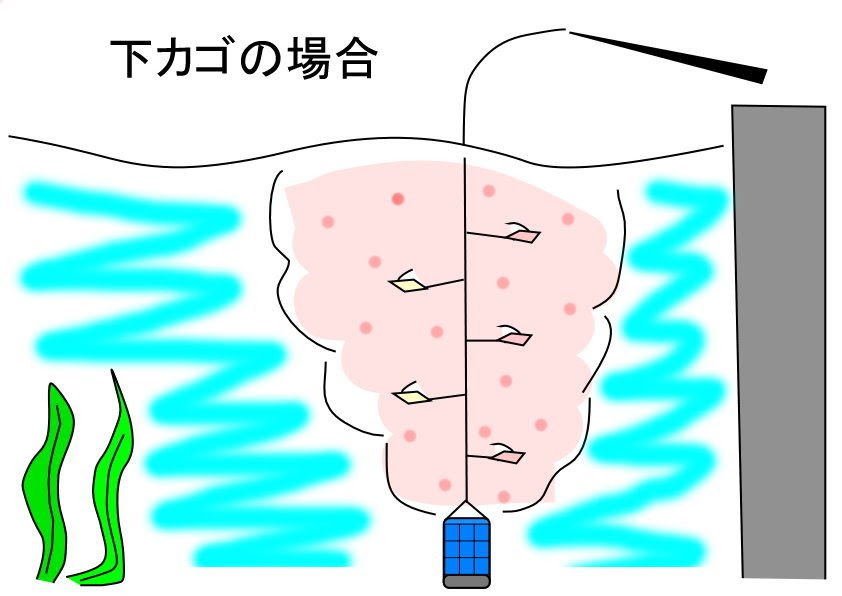 サビキの釣り方とコマセカゴは上がいいのか下がいいのか 六畳一間の狼ブログ