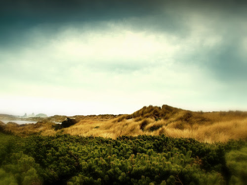 Afternoon1 01 100 Absolutely Beautiful Nature Photography