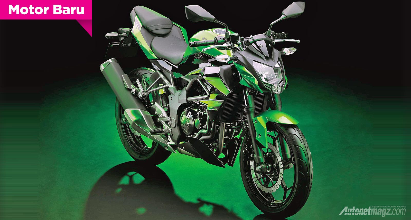 Harga Motor Kawasaki Z250 Terbaru 2013 Modifikasi Motor 