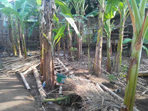 RUMAH DIJUAL: Jual Rumah Siap Bangun di Jogja Tipe 60 3 