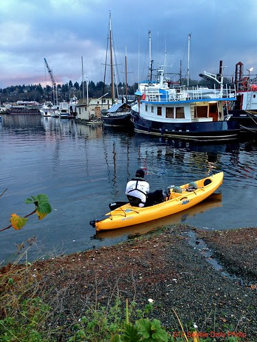 Cold Winter's Day Kayaker by Seattle Daily Photo