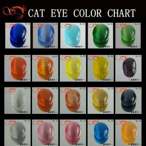 Wild cats in temperate regions generally have hazel eyes, but domestic cats' eye colours vary from blue, through green to yellow, orange and brown. eye color quotes quotesgram