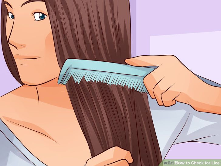 Check for Lice Step 10 Version 2.jpg