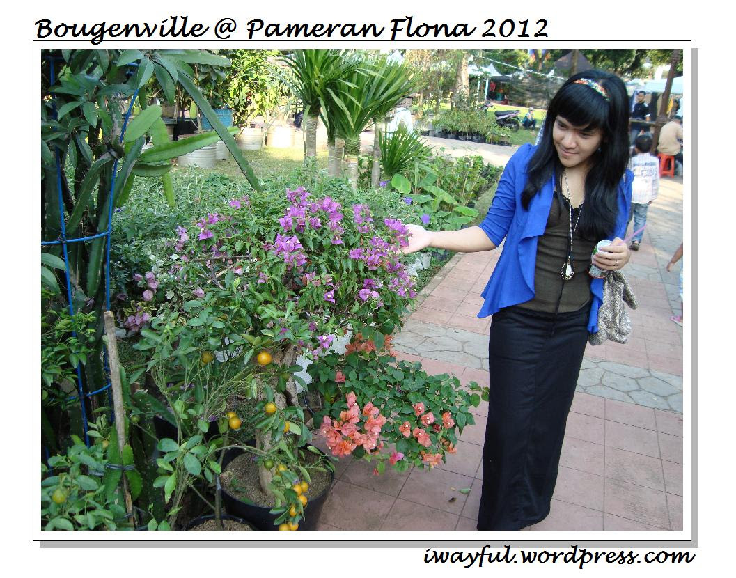 Mari refreshing sejenak di Pameran Flona 2012  let's go green