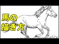 [10000ダウンロード済み√] 馬 イラスト かっこいい 書き方 147854