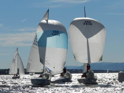 J/24s sailing downwind