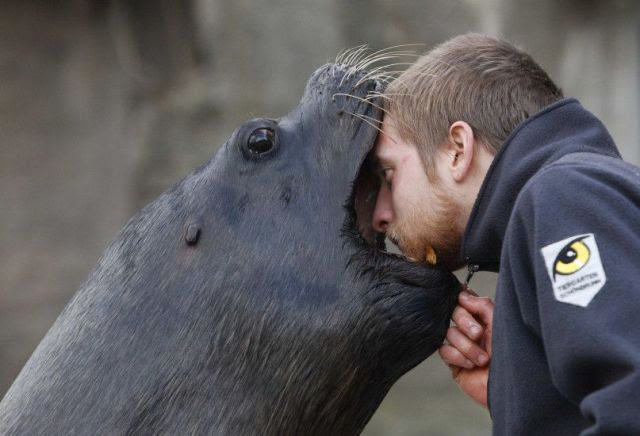 Daily Picdump