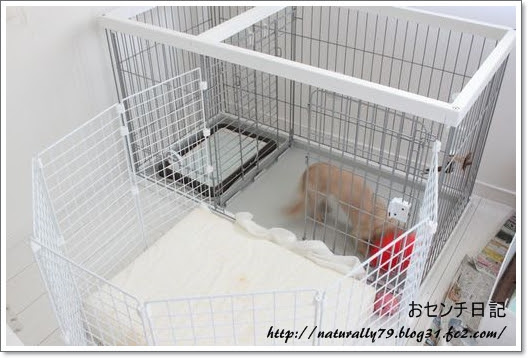 ケージの拡張 おセンチ日記