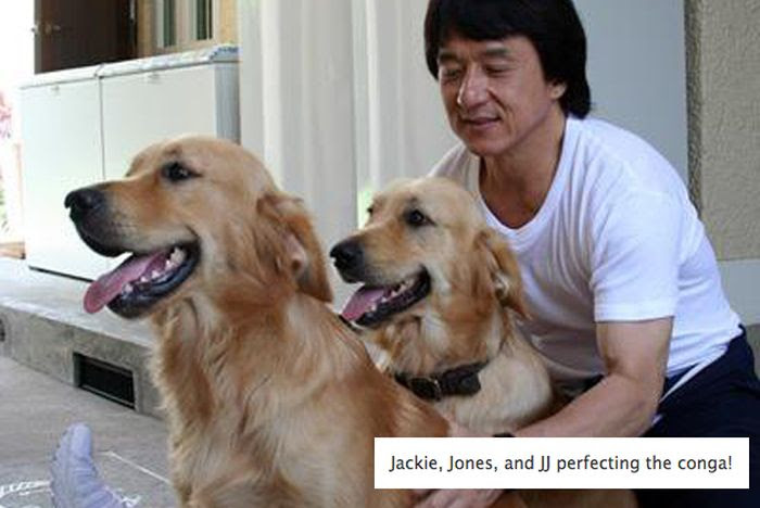 Funny Pictures of Jackie Chan (31 pics)