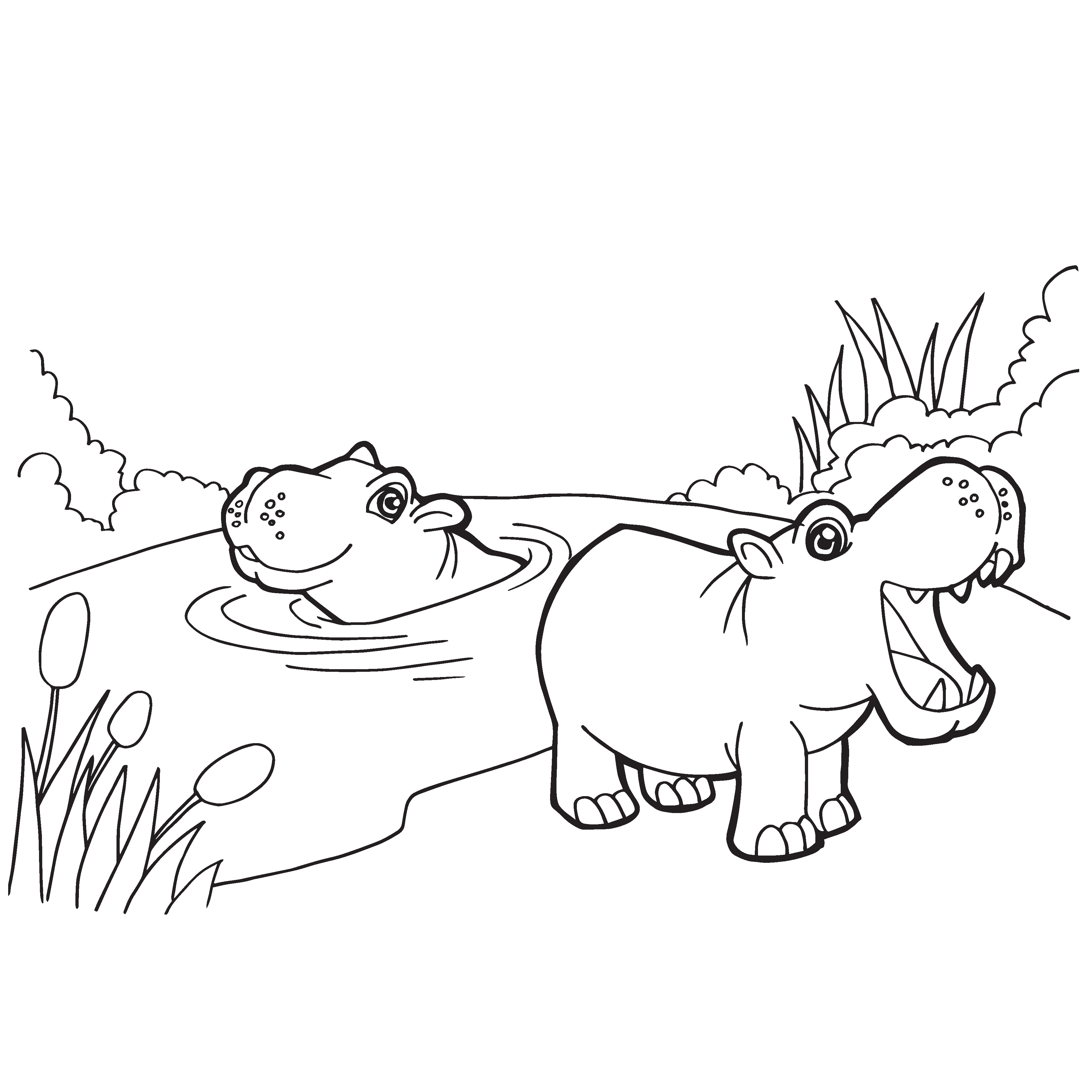 Hippo coloring pages from GetDrawings
