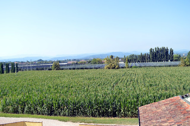 b&b verona
