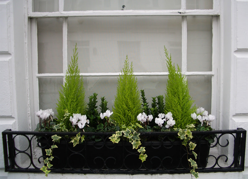 Balcombe Street Window Box Company