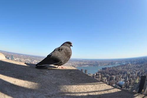 Empire State Building