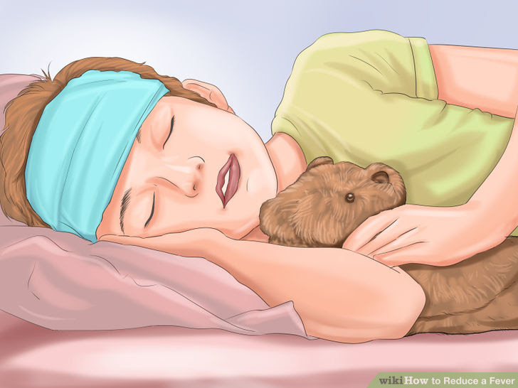 Reduce a Fever Step 18 Version 2.jpg
