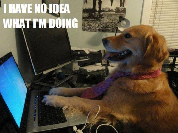 computerdog
