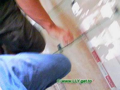 Copyright www.LLY.get.to