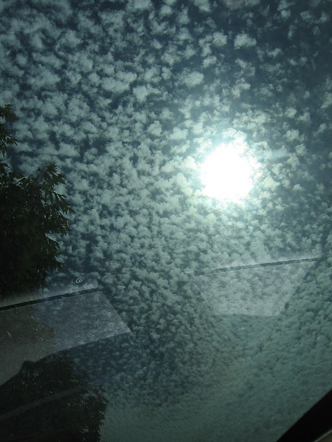 sun via sunroof