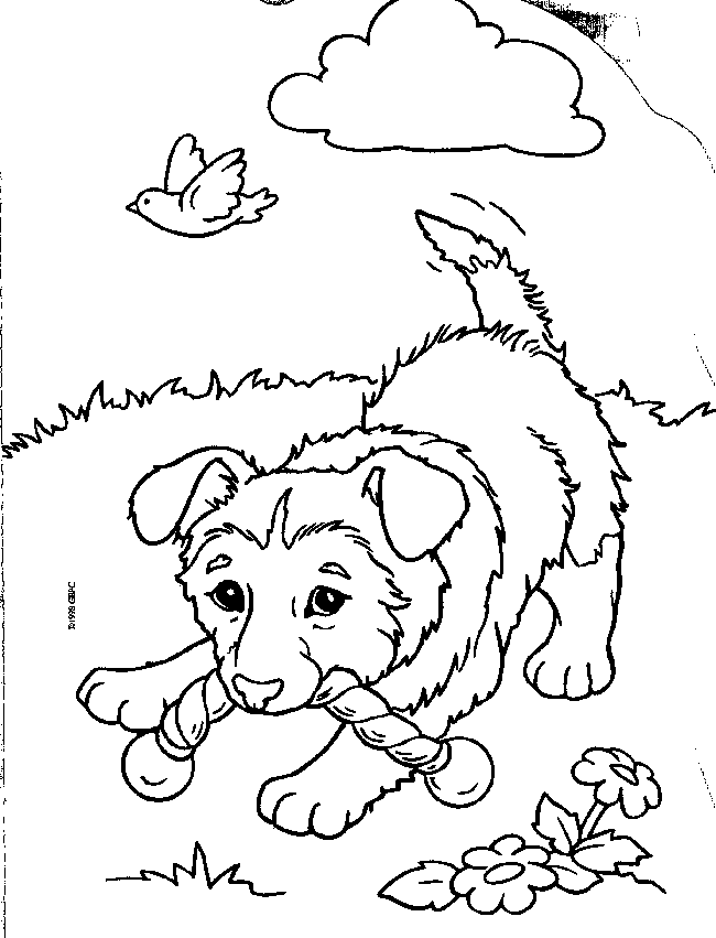 Free Bone Coloring Pages, Download Free Bone Coloring Pages ...