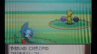 色違いロゼリア出現 ポケモンプラチナ Pokemon Platinum Shiny Roselia Appeared Youtube