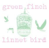 Green Finch & Linnet Bird