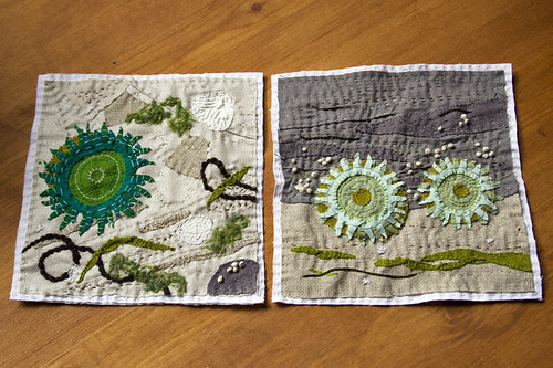 sea anemones, two ways
