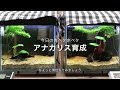 [最新] ベタ 砂利 105577-ベタ 砂利 白