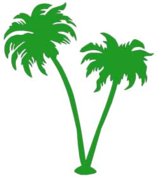 Pohon Kelapa Sawit Animasi ClipArt Best Pohon Kelapa Sawit Animasi ClipArt Best