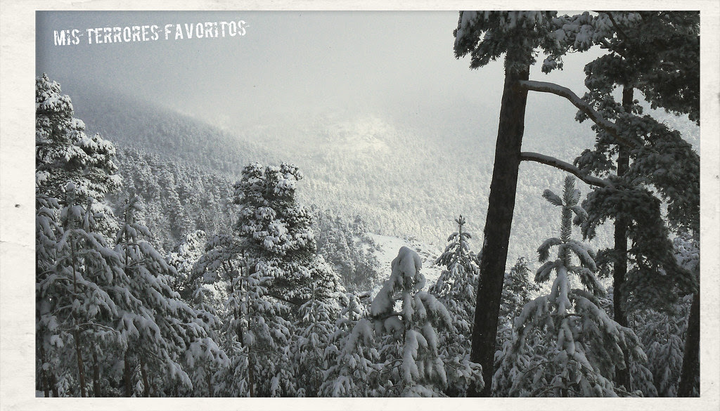 gUADARRAMA INVERNAL