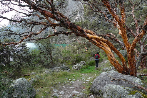Lake Chinancocha - Huascarán National Park - Peru