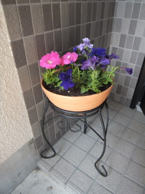 ささやかな暮らしの空間 玄関