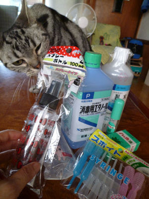 猫vsハッカ Nn生活