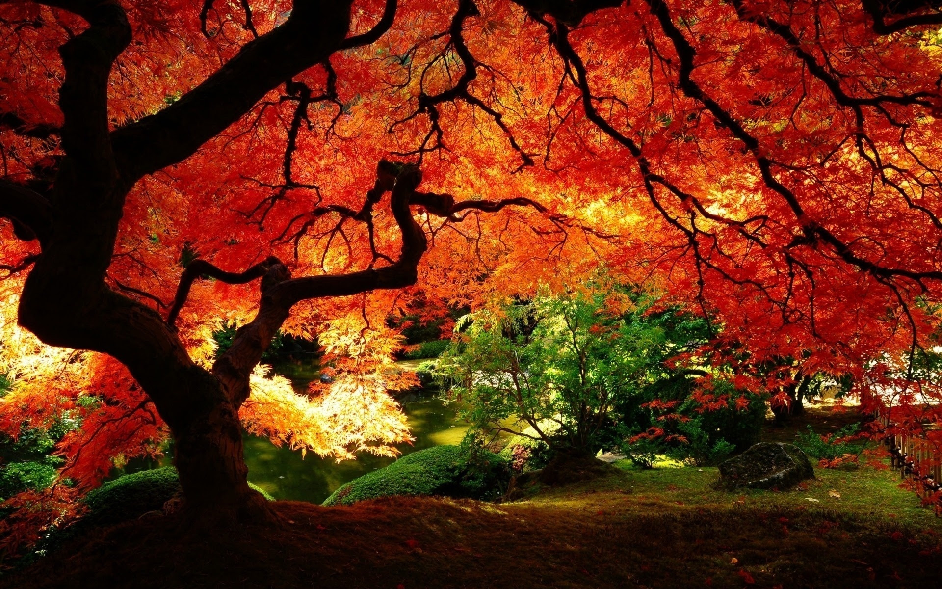 Garden Wallpapers  Best Wallpapers