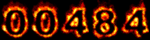 hit counter dreamweaver